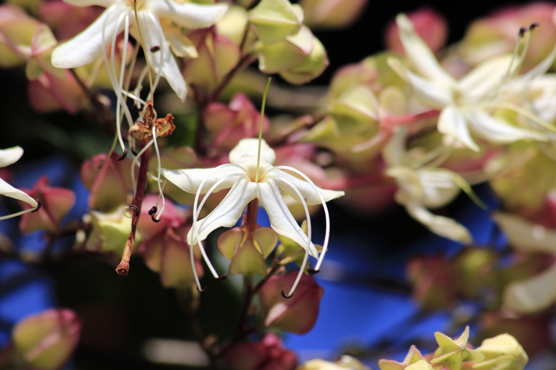 2017-08-29_121058 trentino-suedtirol-2017.jpg - Ohne Namen